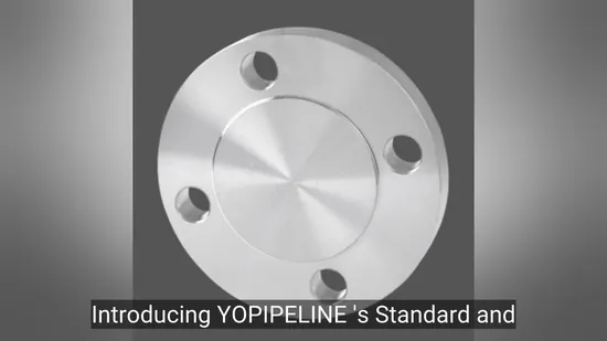 ANSI B16.5/DIN/GOST/ Carbon/Stainless Steel Welding Pn10/16 /Weld Neck/Threaded/Blind/Slip on/ Plate/Socke RF/FF Forged Flange Pipe Fitting Steel Flange